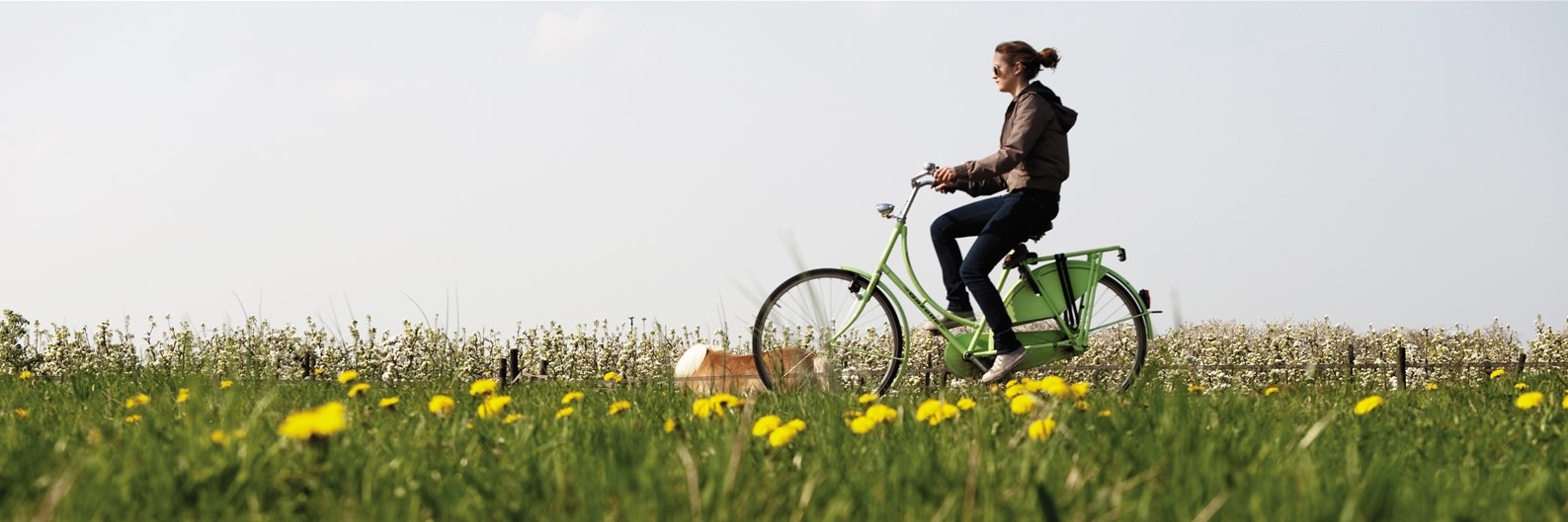 mob fietsen door de weilanden6